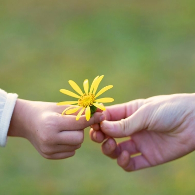 Natuurlijk Harmonieus Leven | Nathalie Bonte
