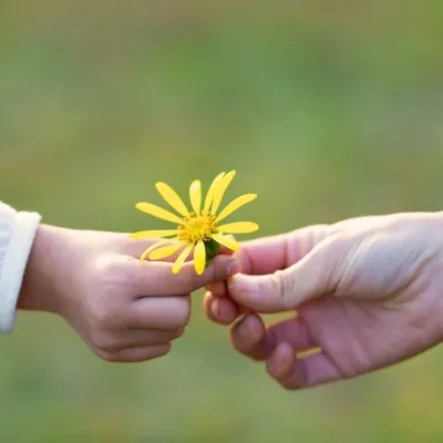 Natuurlijk Harmonieus Leven | Nathalie Bonte