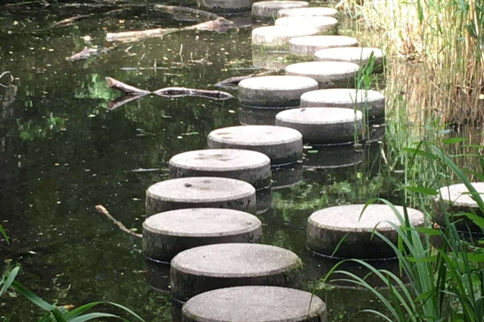 Zen-avonden in Leiden
