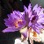 Foto 18 - Ingrid Appels